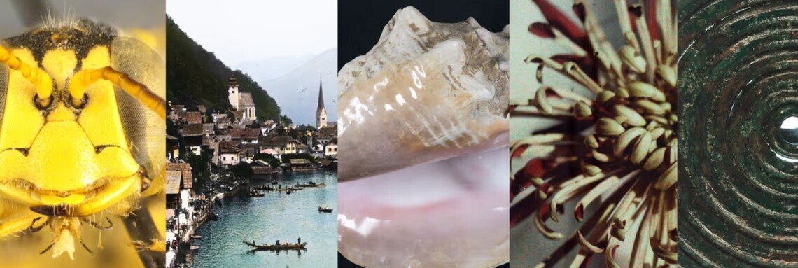 SAMMLUNGSASSISTENZ IM BEREICH DIGITALE TRANSFORMATION, 1. Bild